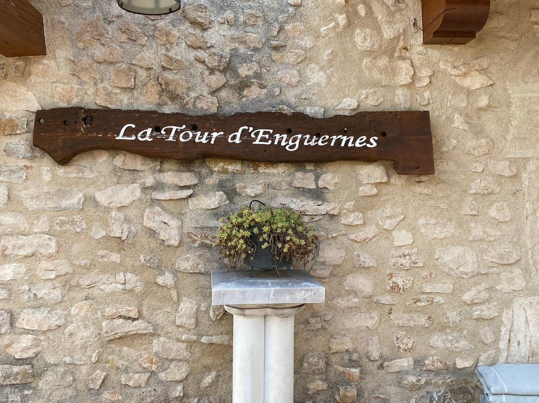 Domaine De La Tour D'Enguernes主图