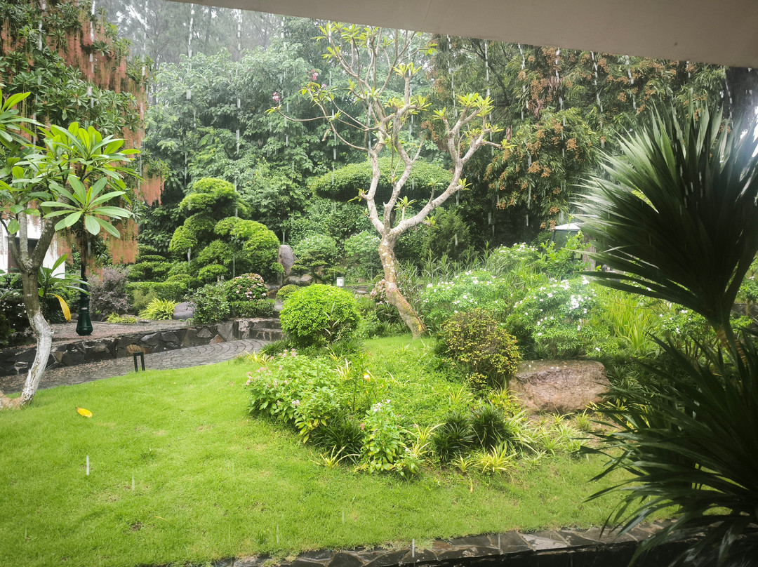 Senna Wellness Retreat主图