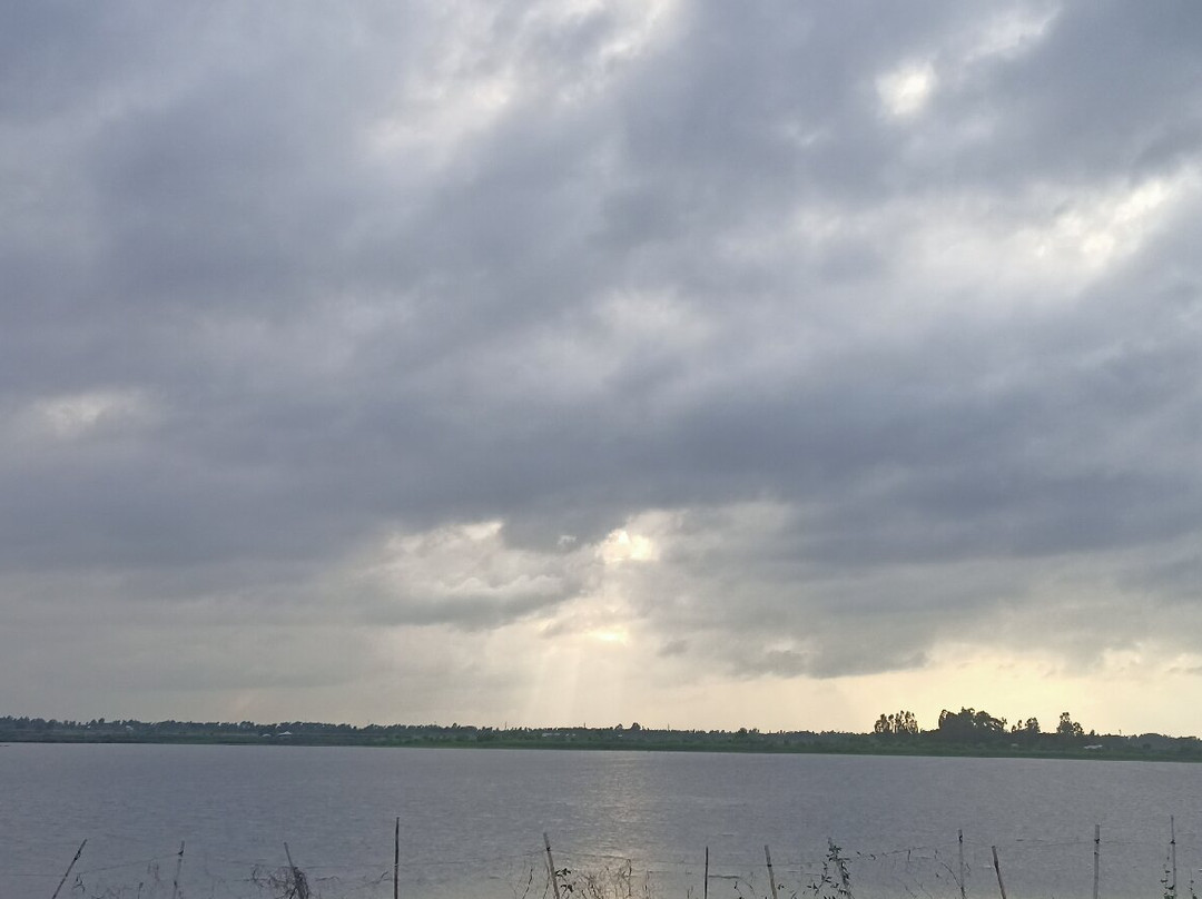 Barisal Waterland