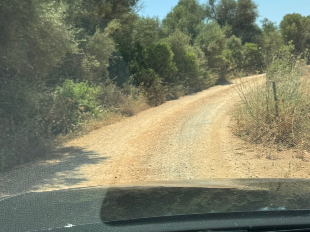 Agroturisme Rafal Nou主图