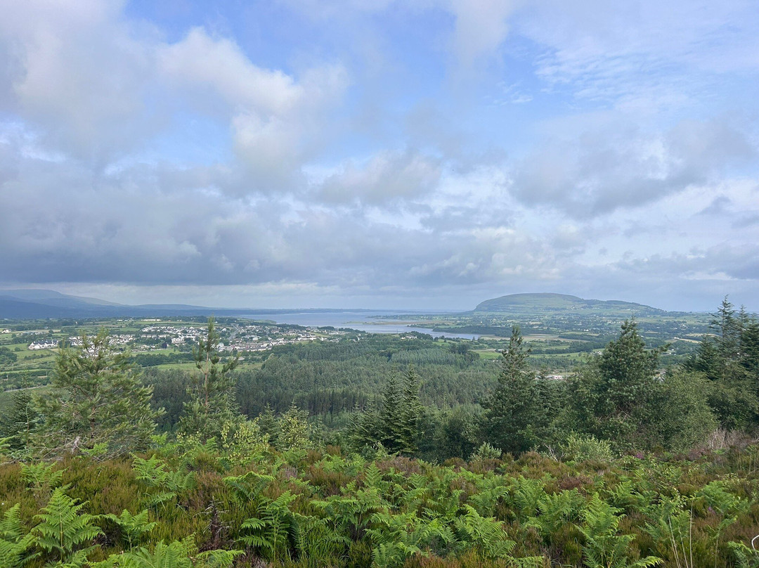 Union Wood / Ballygawley Lough-斯莱戈必去景点