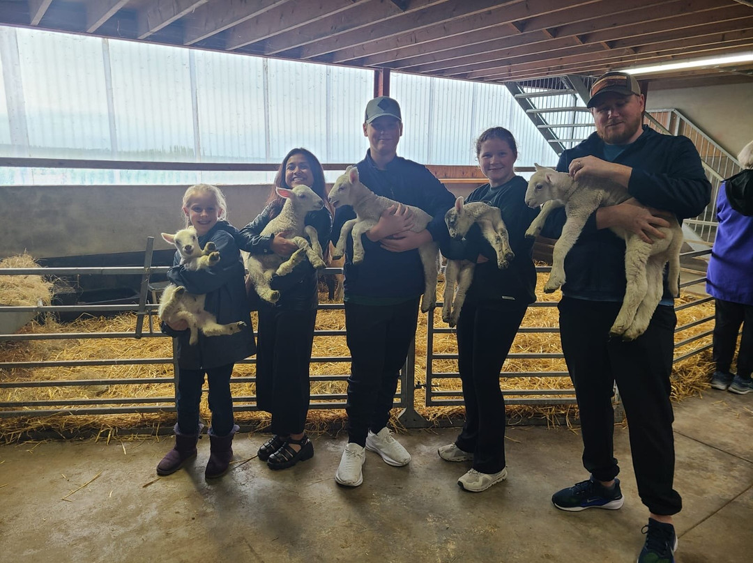Glenshane Country Farm-Maghera必去景点