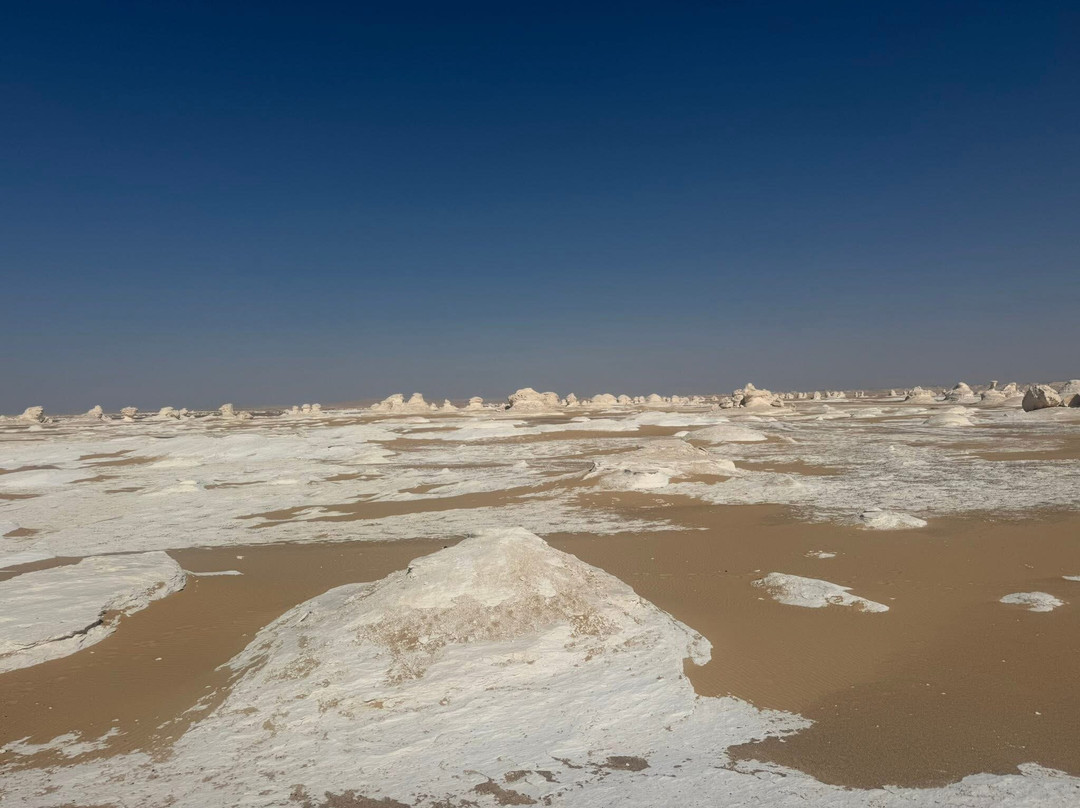 White Desert tours-Bawiti必去景点