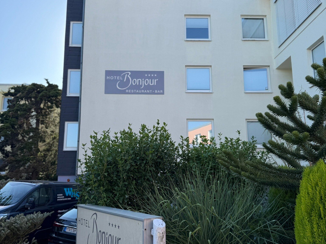 Hotel Bonjour主图