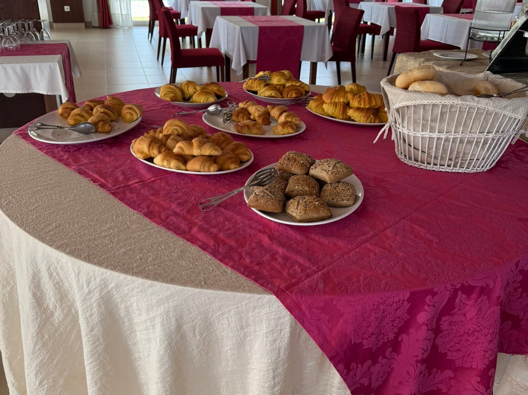 Placido Hotel Douro Tabuaco主图