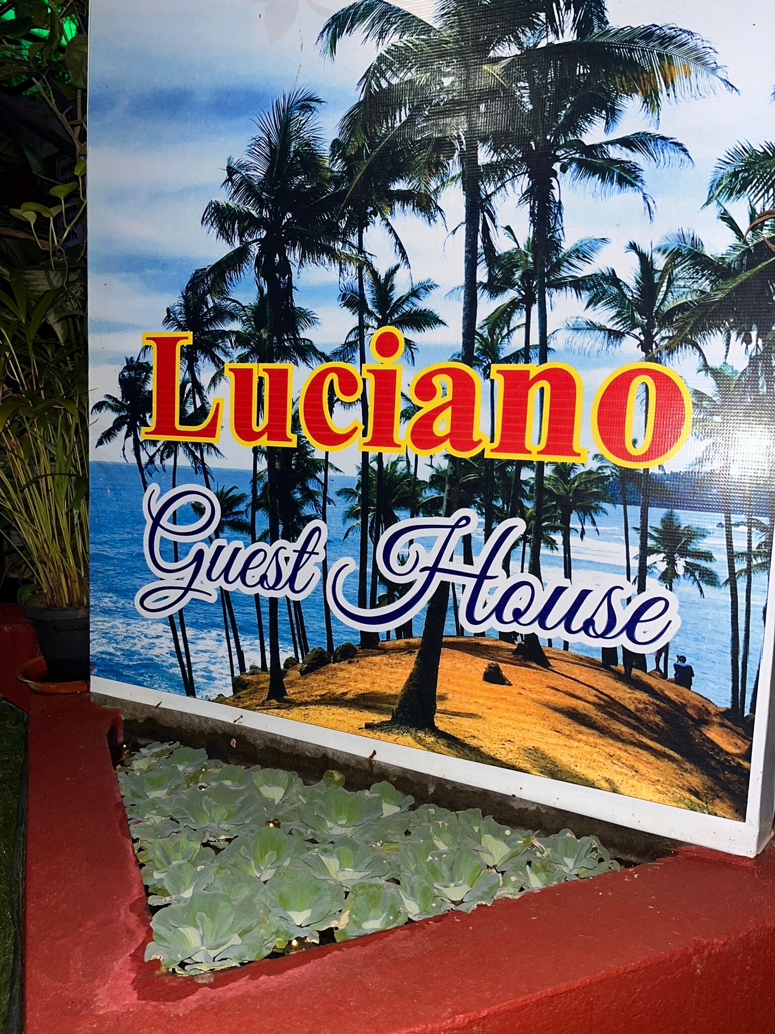 Luciano Guest House-官方