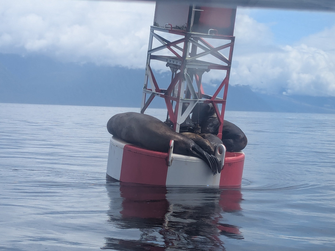 Seek Alaska Tours-Petersburg必去景点