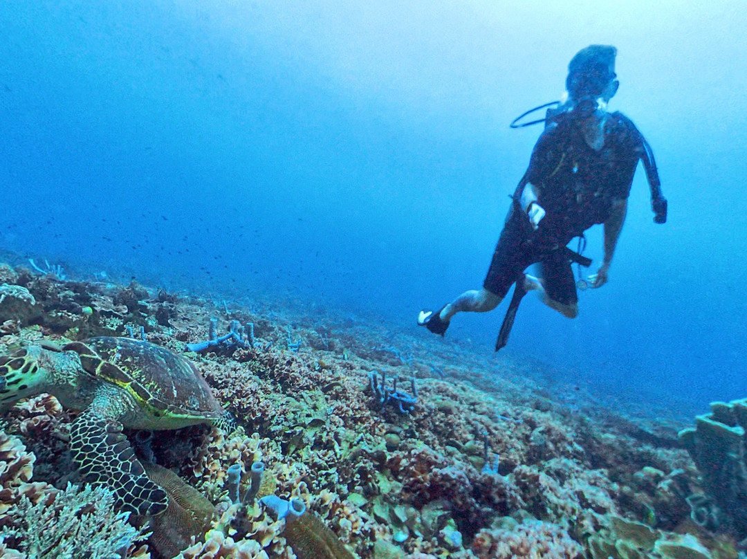 Scuba Froggy - Senggigi-Senggigi必去景点