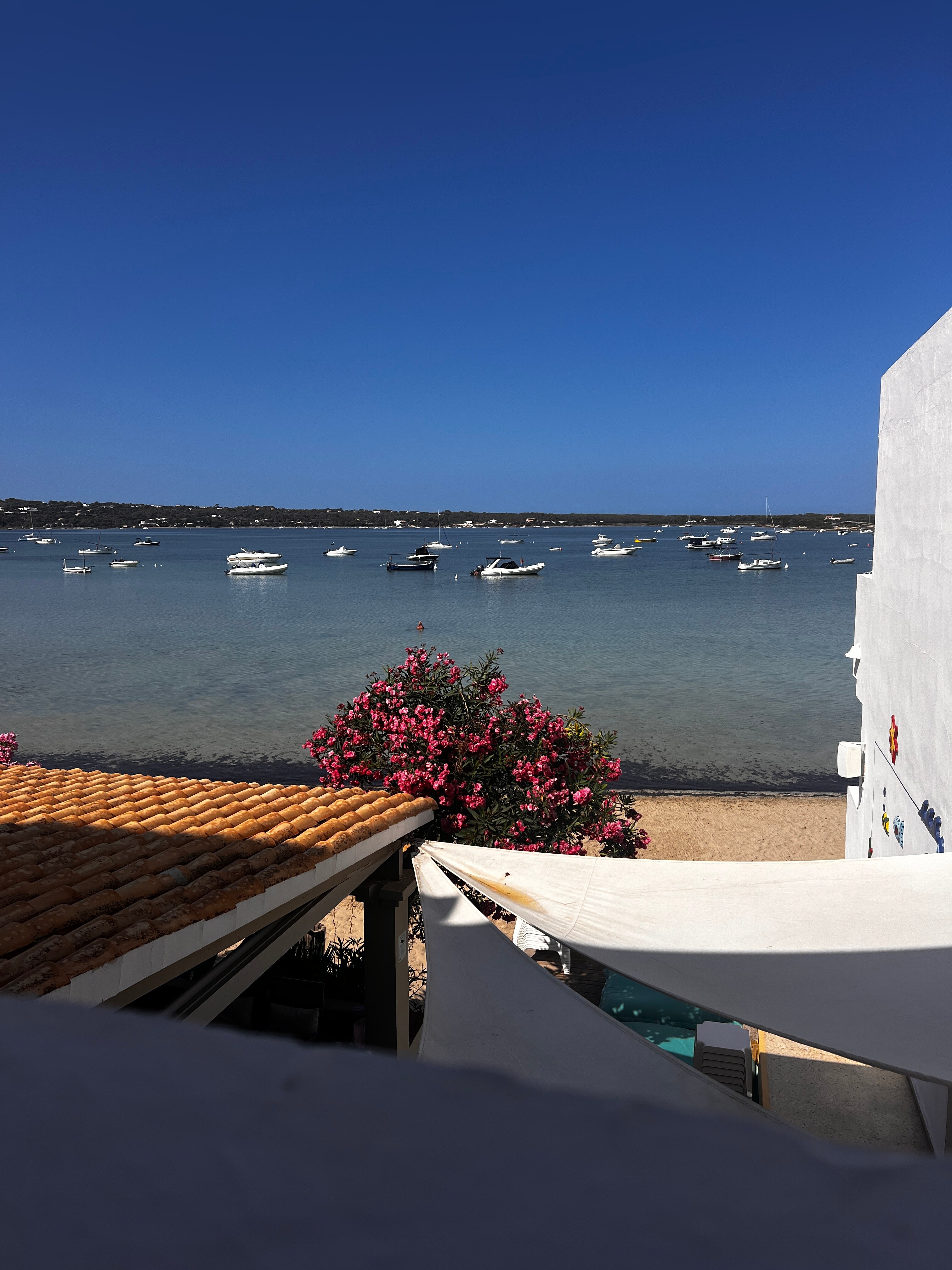 Hostal La Savina-酒店景观