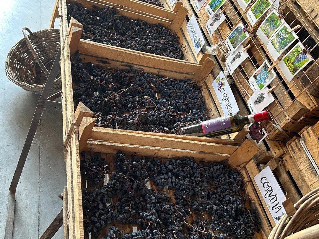 Le Bignele Winery-Valgatara必去景点