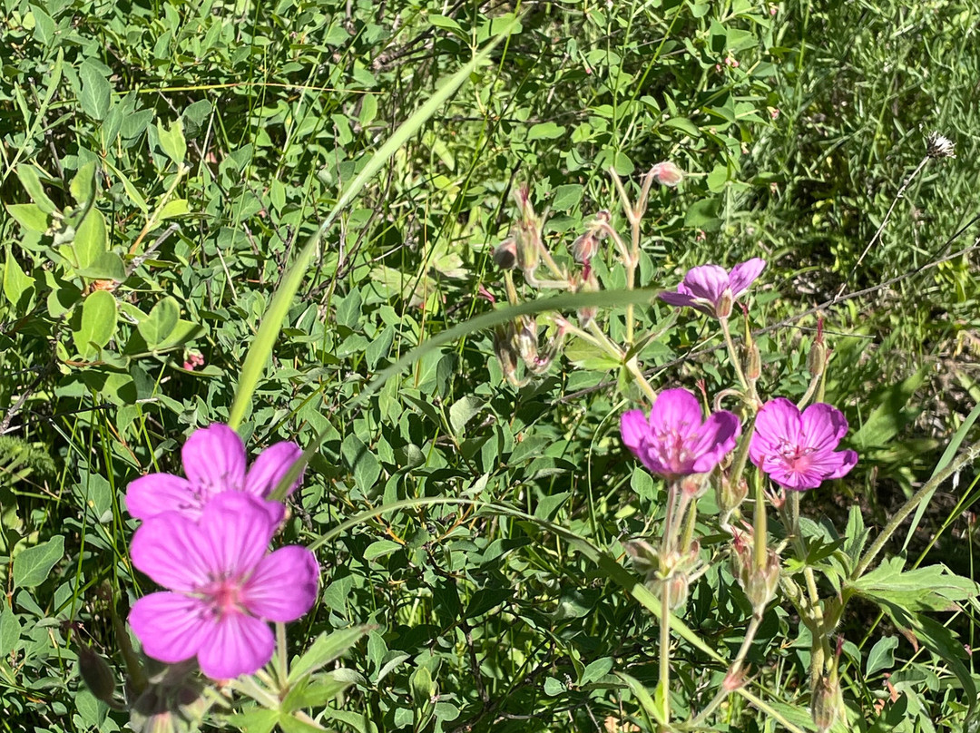 Glacier Raft Company-西格拉西尔必去景点