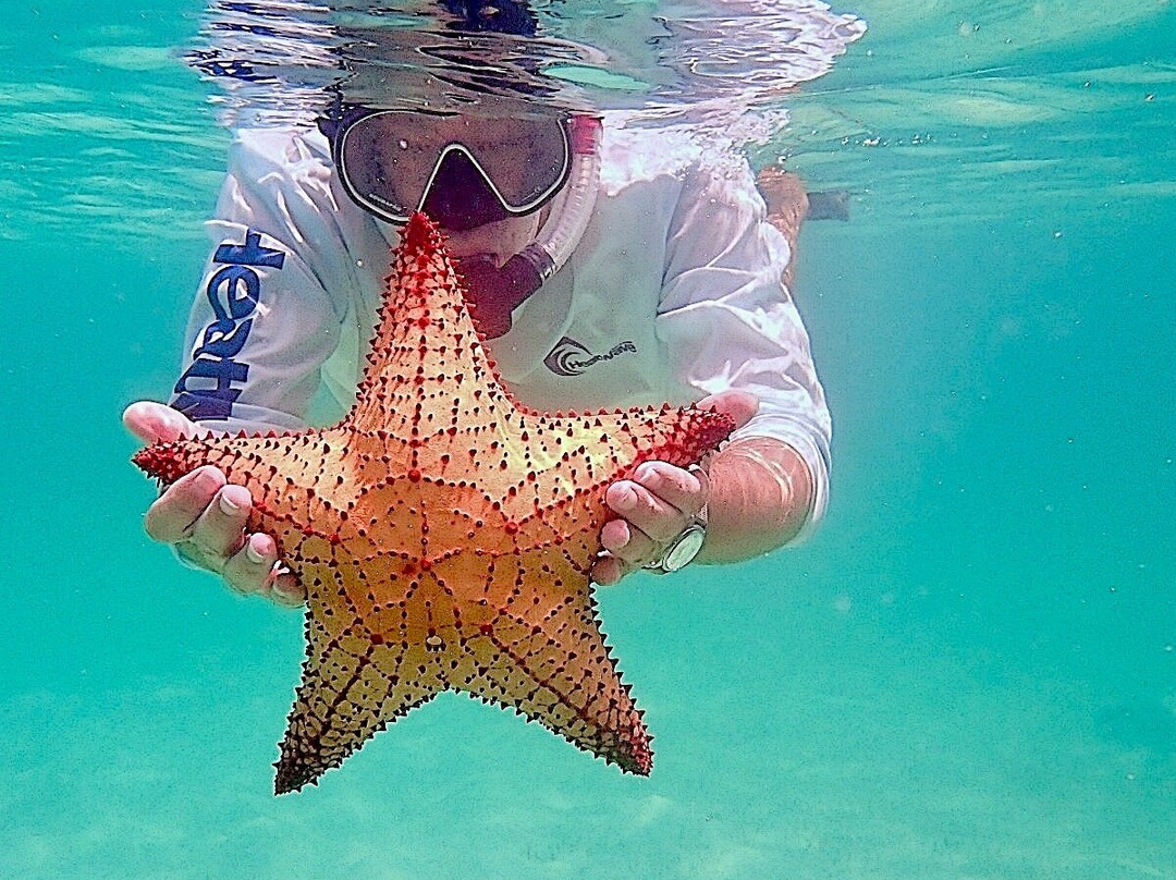 Valentine's Dive Center-哈勃岛必去景点