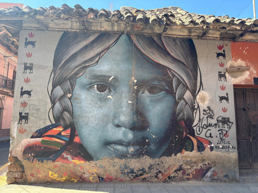 Bike Art Cocha-科恰班巴必去景点