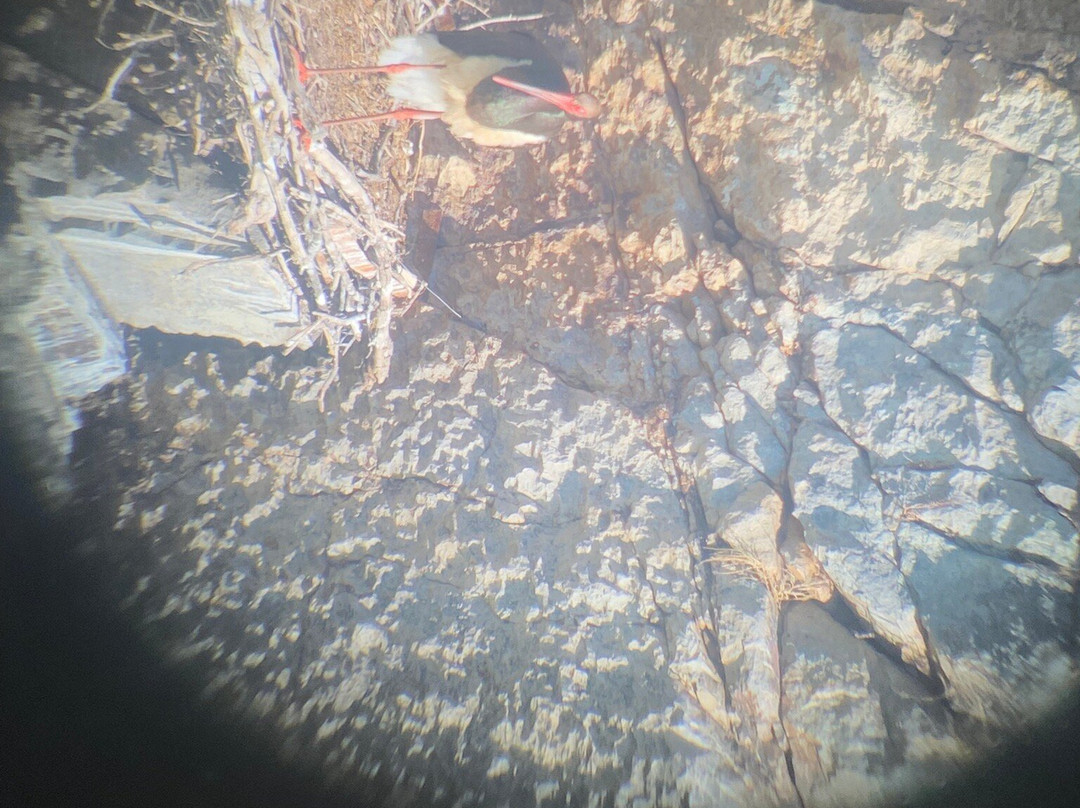 Birding Naturaleza-Plasencia必去景点