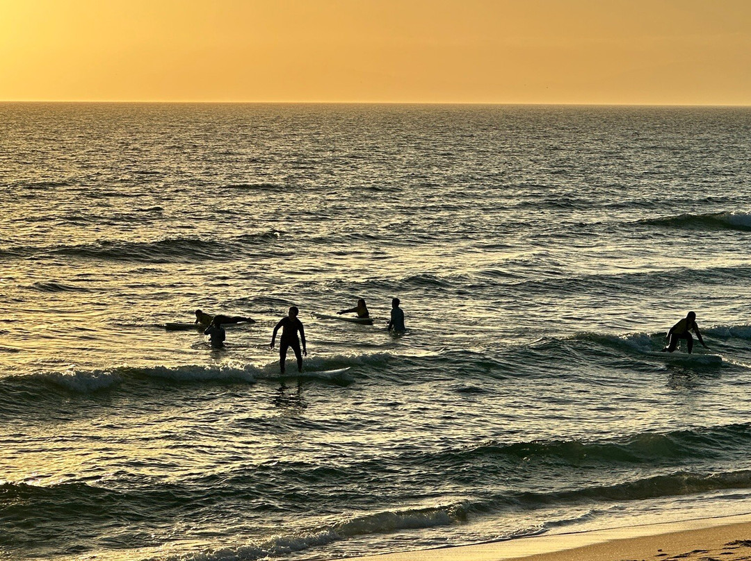 Surf in Comporta-Comporta必去景点