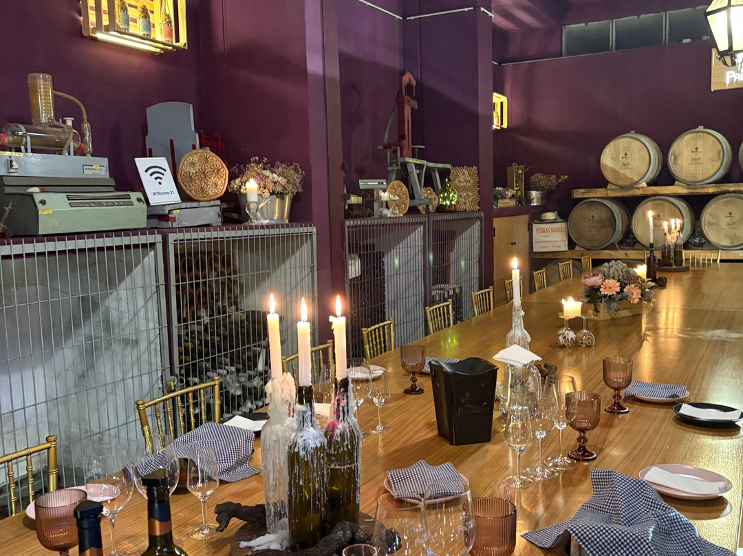 Adega de Palmela-Palmela必去景点