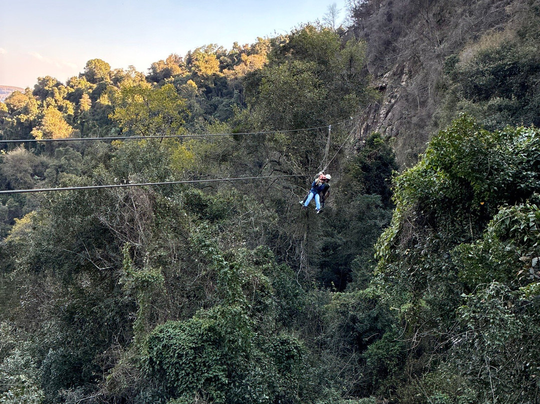 Drakensberg Canopy Tour-Cathkin Park必去景点