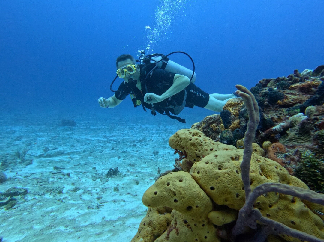 Dive With M.E. Cozumel-San Miguel de Cozumel必去景点