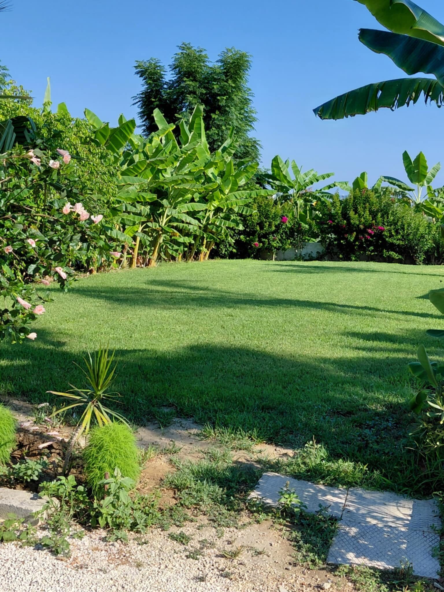 雪绒花公寓-官方