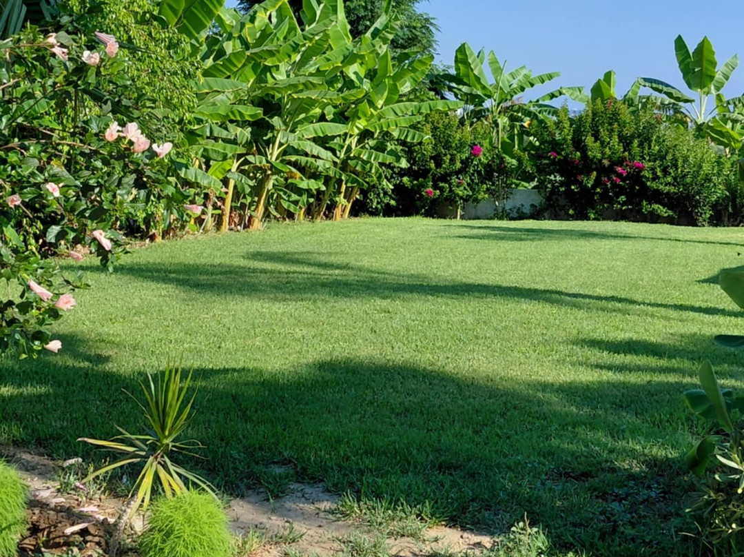 雪绒花公寓主图