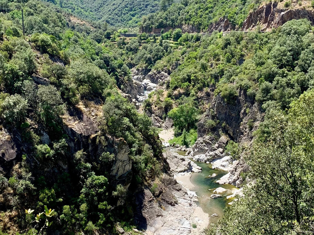 Bambou Canyon-Anduze必去景点