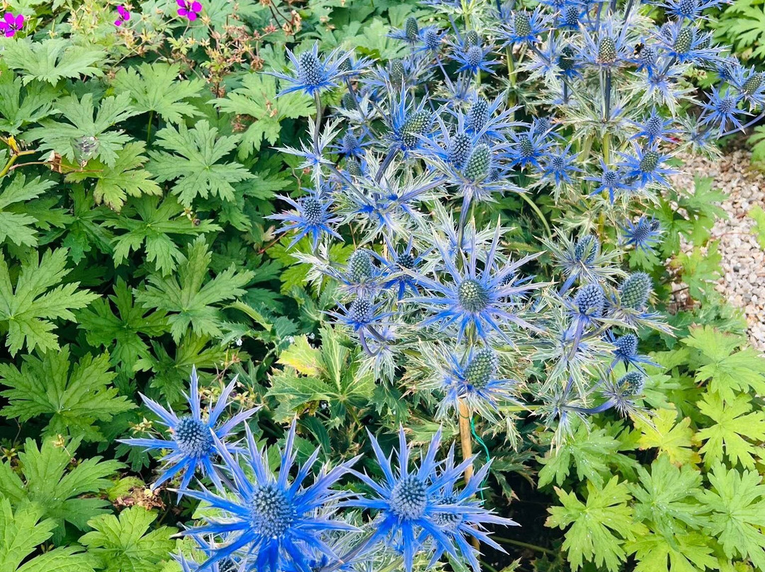 基尔拉奇别墅温泉酒店主图