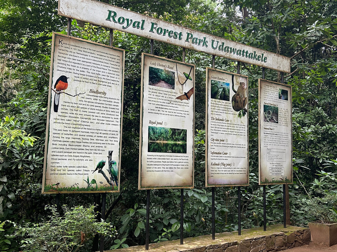 Janaka’s Travel Ways-佩拉德尼亚必去景点