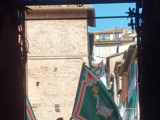 Santuario di Santa Caterina-锡耶纳必去景点