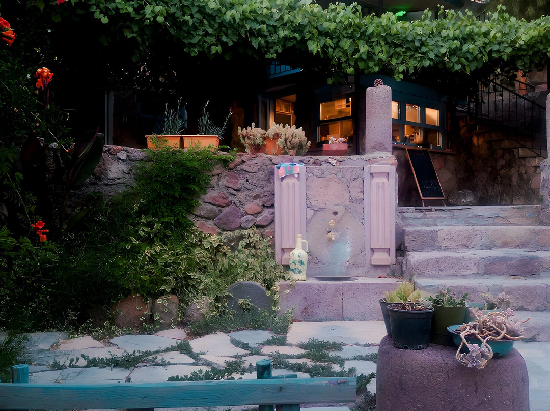 Alterna Koy Evi主图