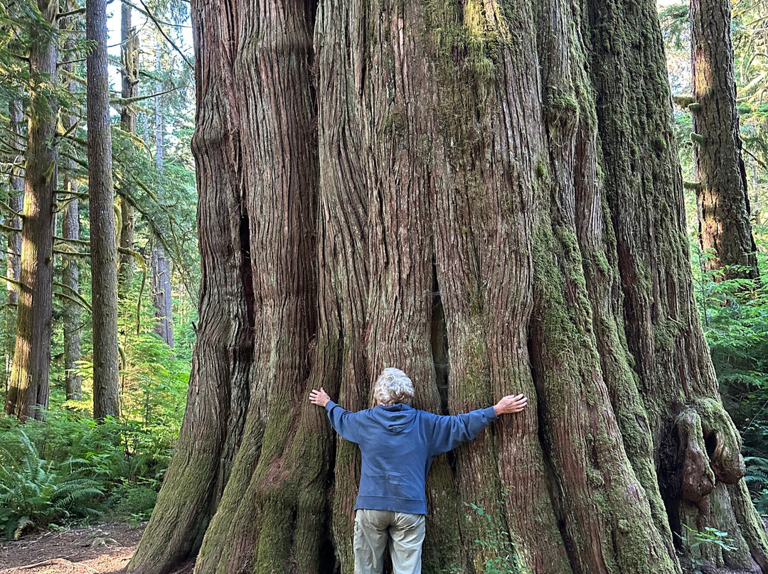 Nan Adventure Tours-Bella Coola必去景点