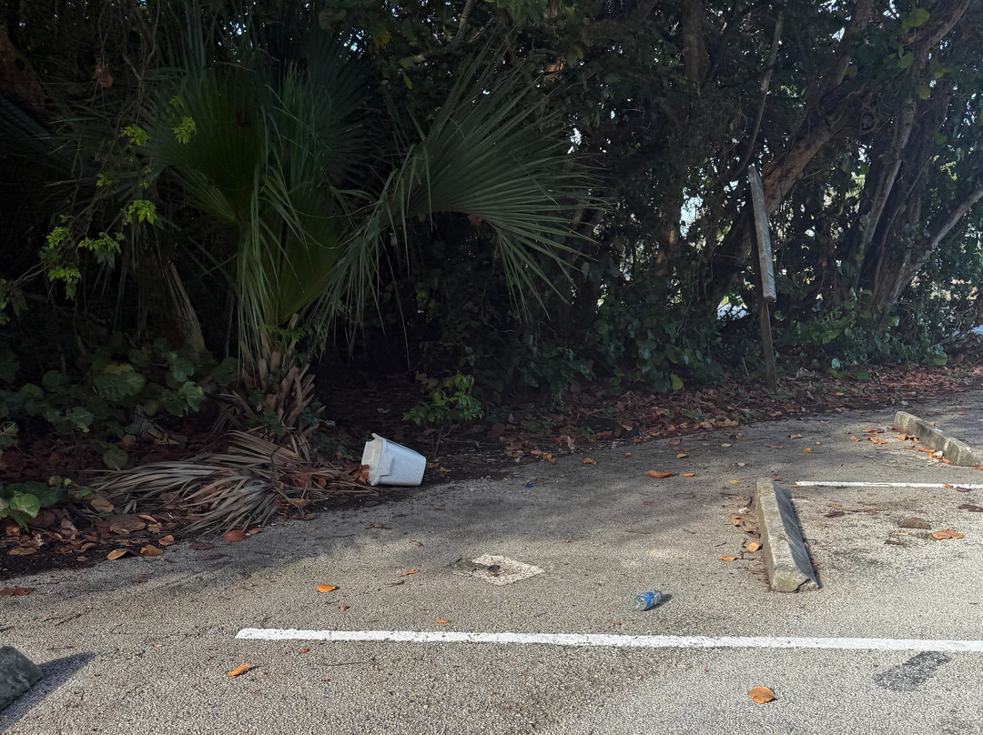 Dog Park-好莱坞必去景点