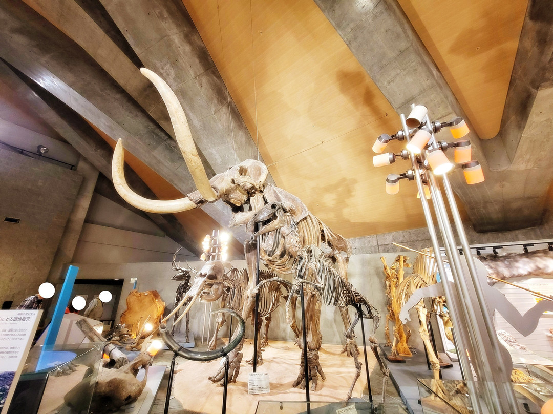 Gunma Natural Museum-富冈市必去景点