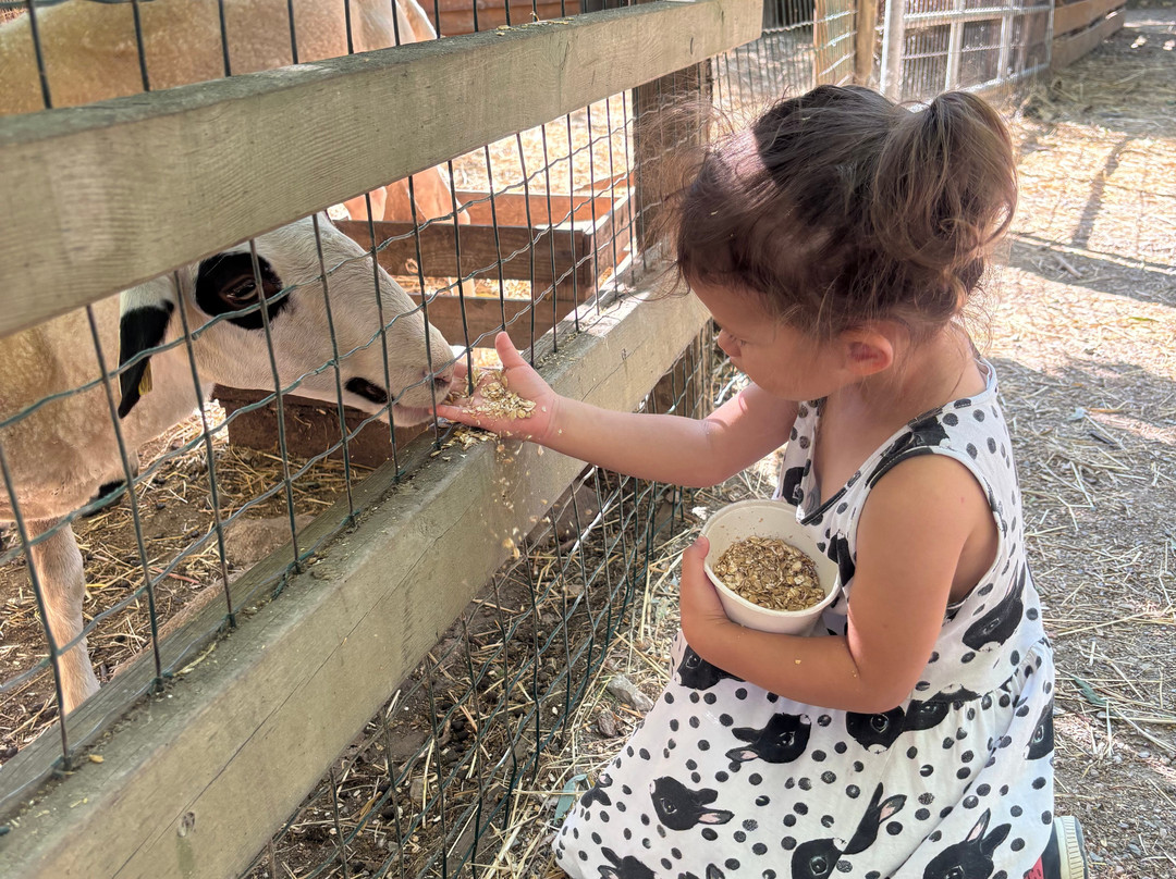 Ferme de Decouverte Saint-Andre-Saint-Andre必去景点
