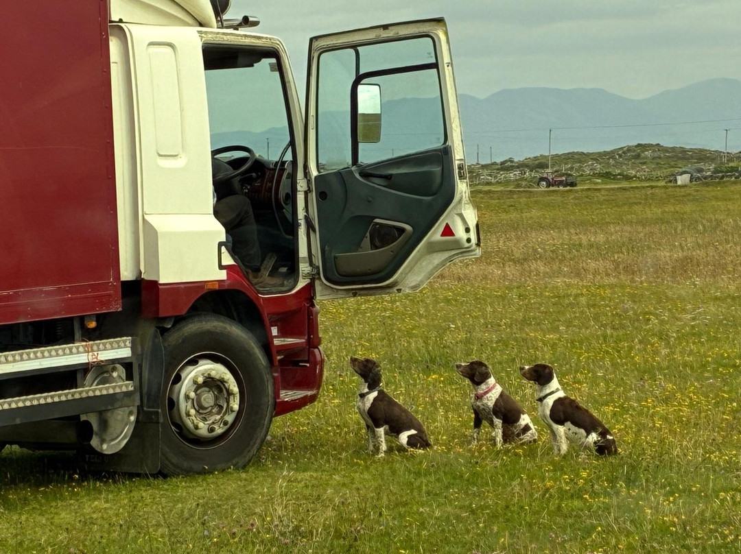 Connemara Equestrian Escapes-Moycullen必去景点