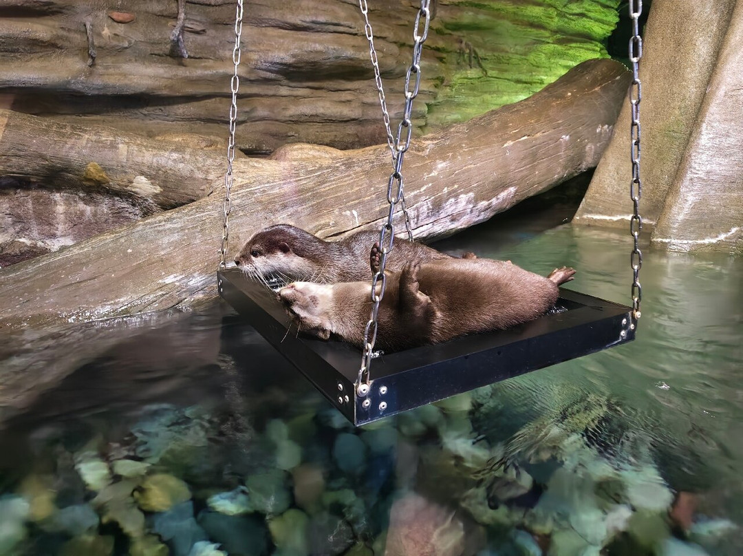 Aquaria Phuket Thailand-普吉镇必去景点