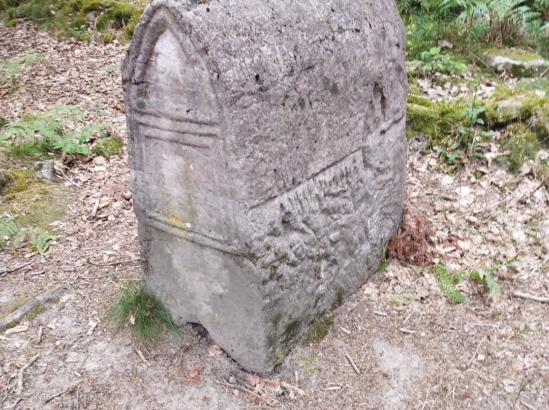 Camp celtique de la Bure-孚日圣迪耶必去景点