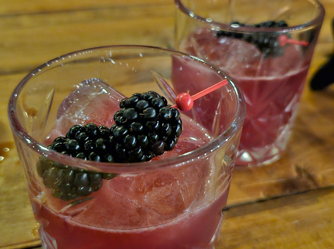 Elixer Room-海牙必去景点