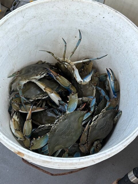 Whale Creek Marina-Strathmere必去景点