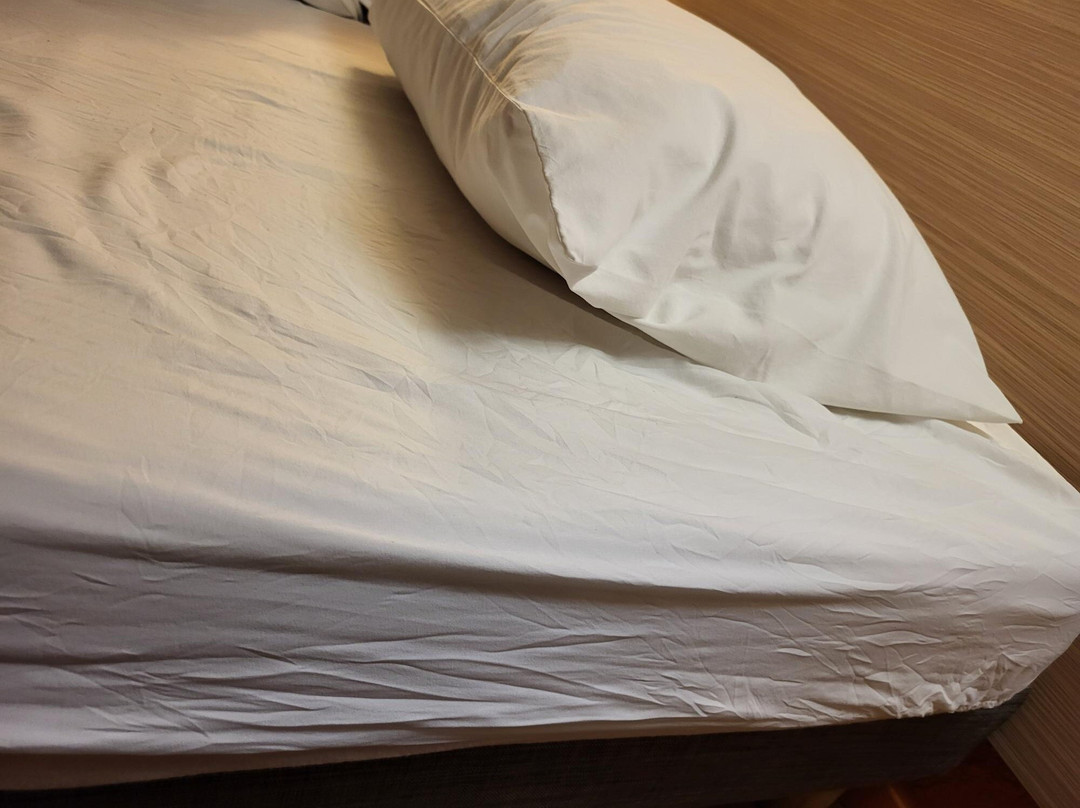 Premiere Classe Macon主图