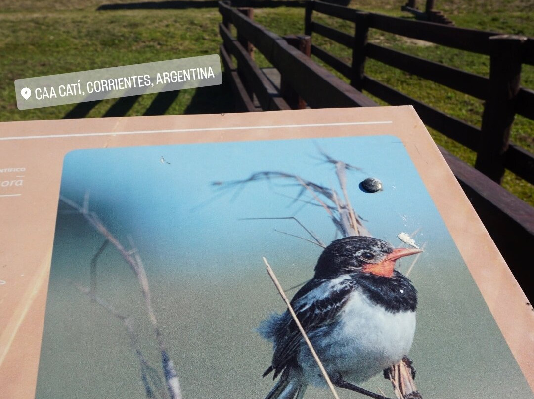 Parque Nacional Ibera-Ituzaingo必去景点