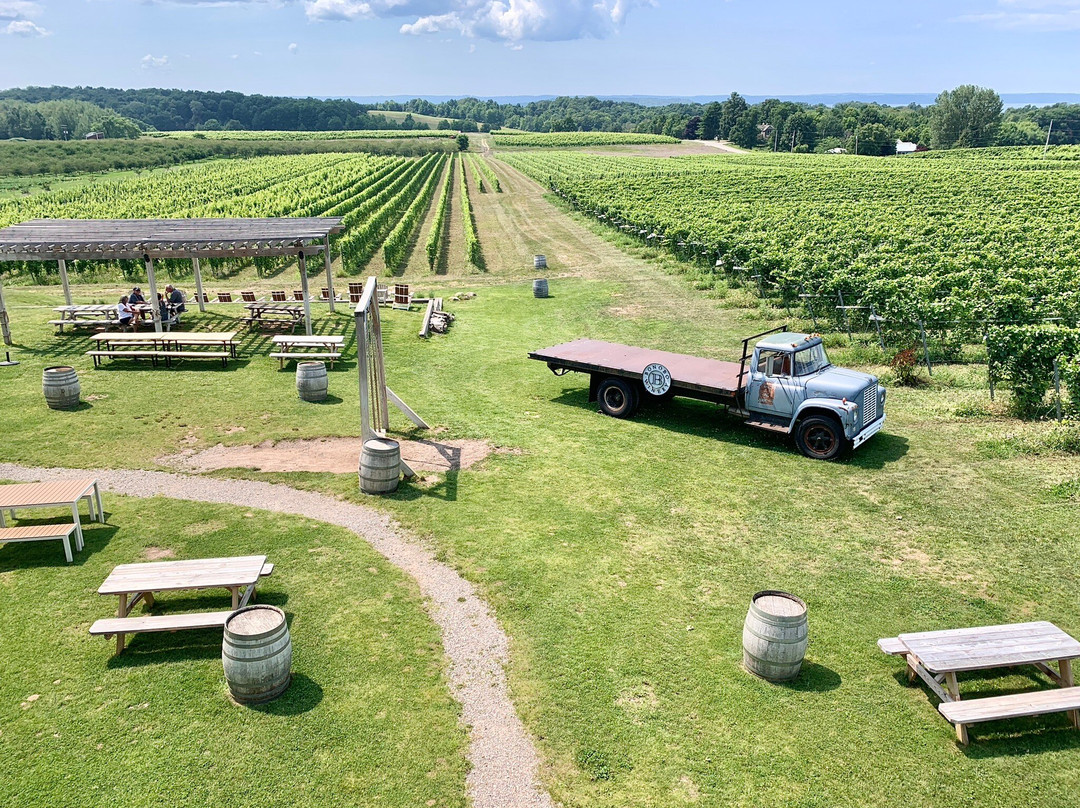 Bonobo Winery-特拉弗斯城必去景点