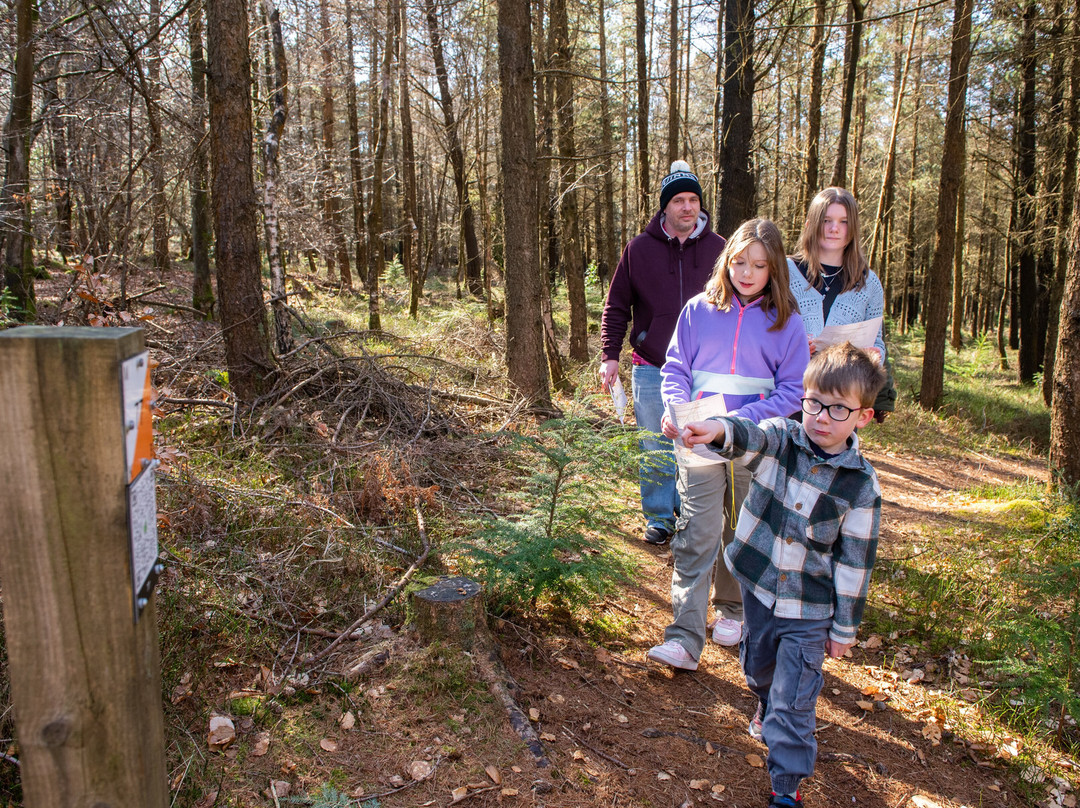 Haldon Forest Park - Forestry England-得文郡必去景点