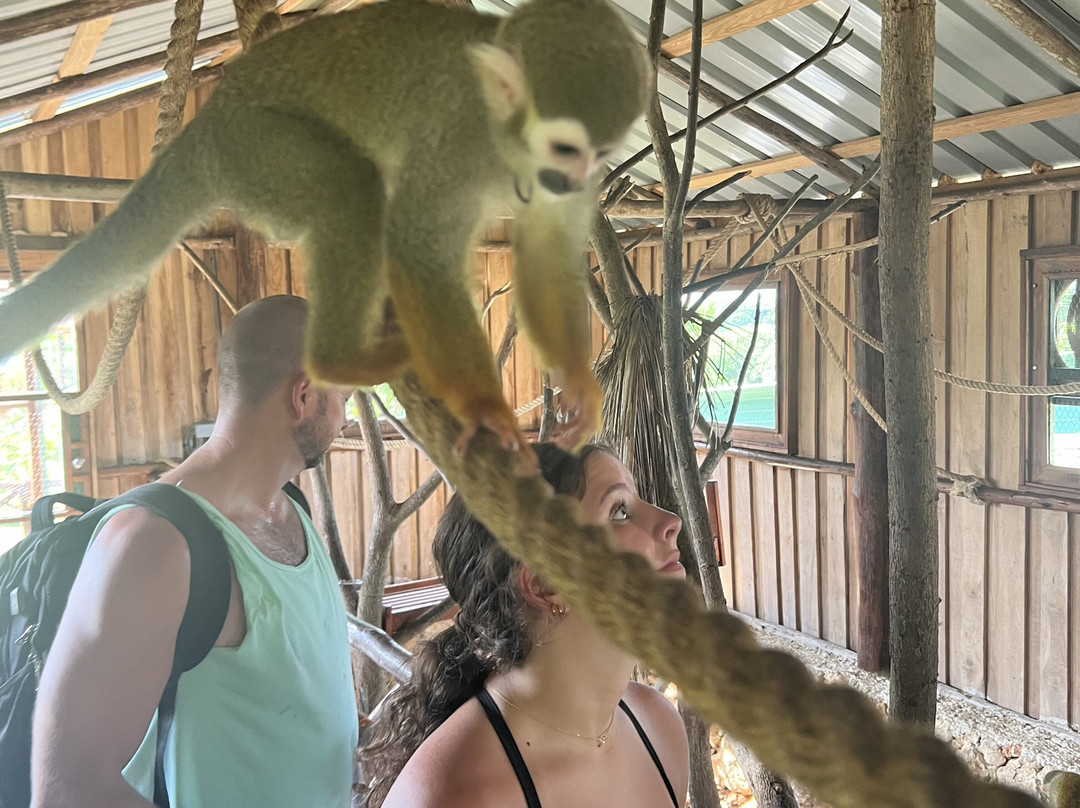 Evolution Adventure Park-蓬塔卡纳必去景点