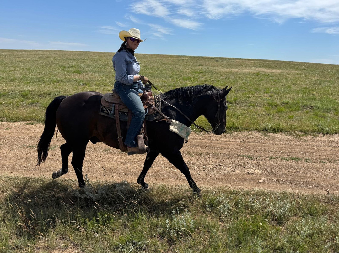 Lonesome Spur-Bridger必去景点