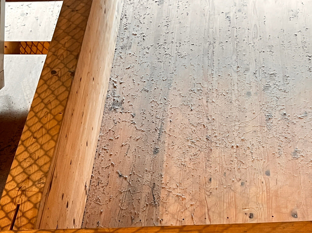 Universum Bremen-不莱梅必去景点