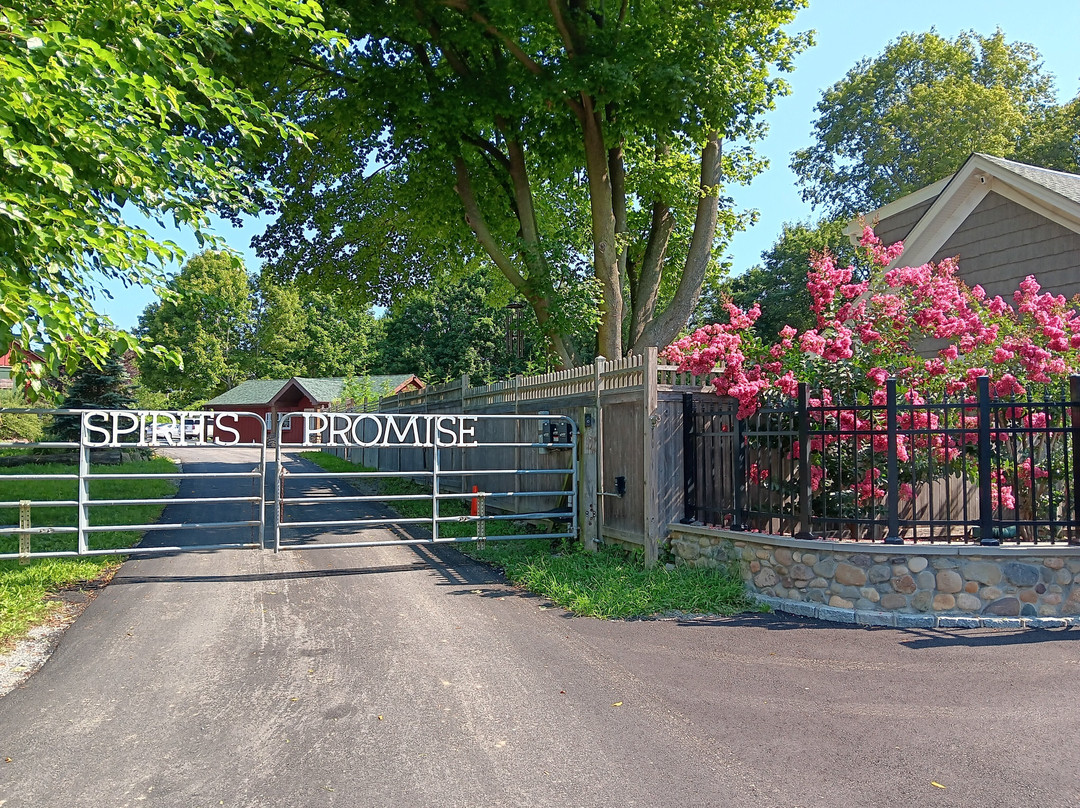 Spirit’s Promise Equine Rescue-Riverhead必去景点