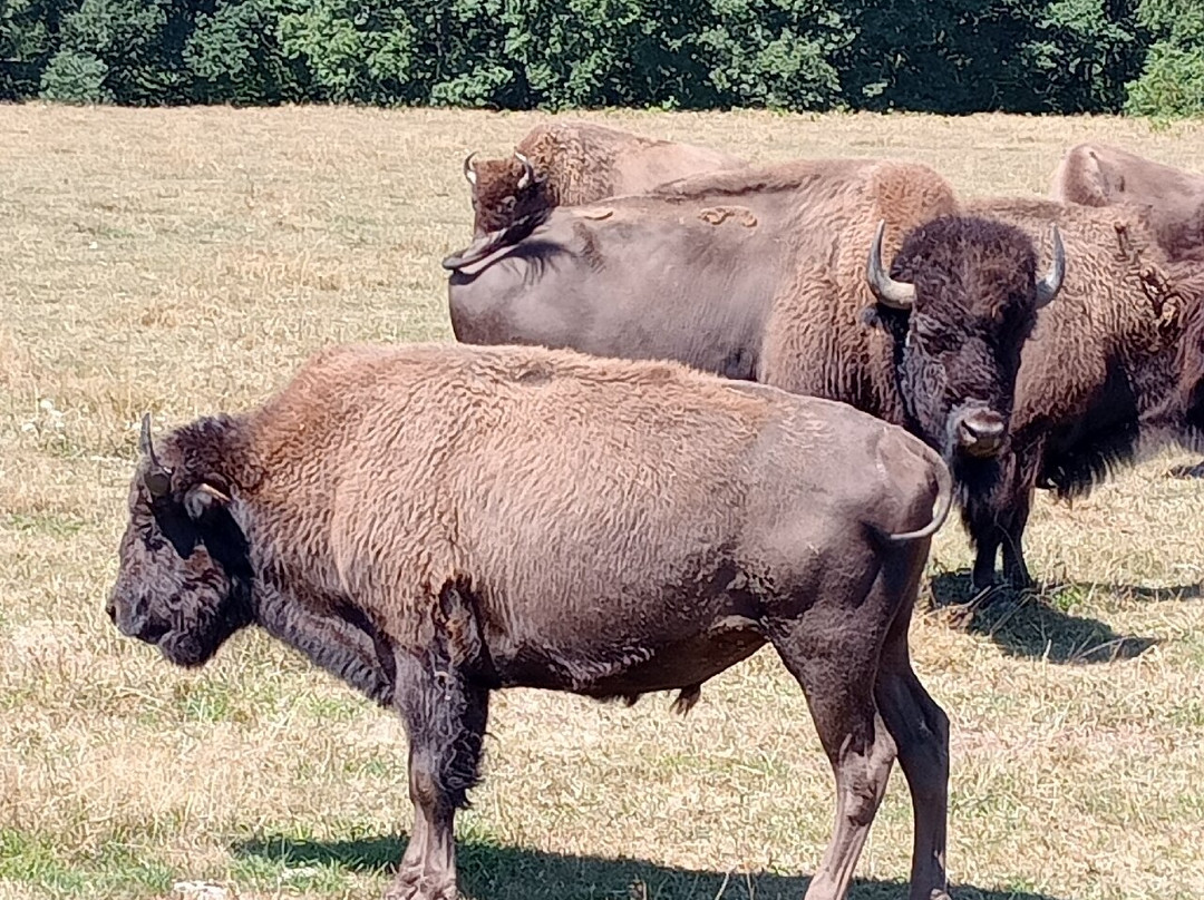 Elevage du Palais-Bourganeuf必去景点