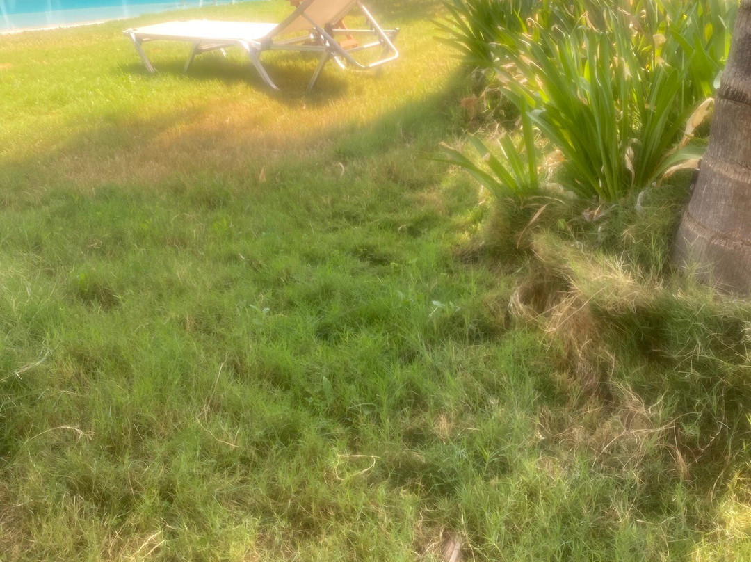 Elysian Luxury Hotel and Spa主图