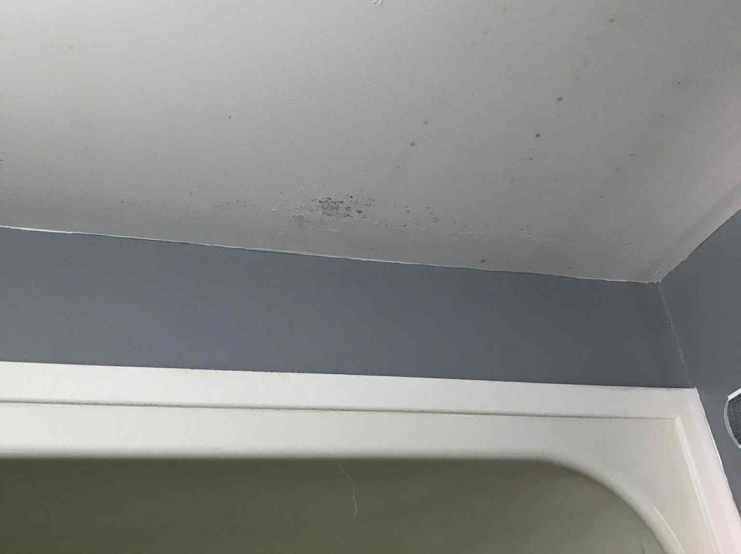 Coastal Inn Digby (Kingfisher)主图