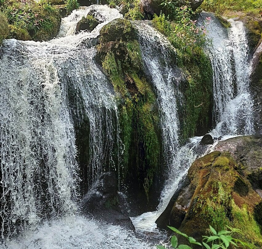 Triberg Waterfalls-特里贝格必去景点